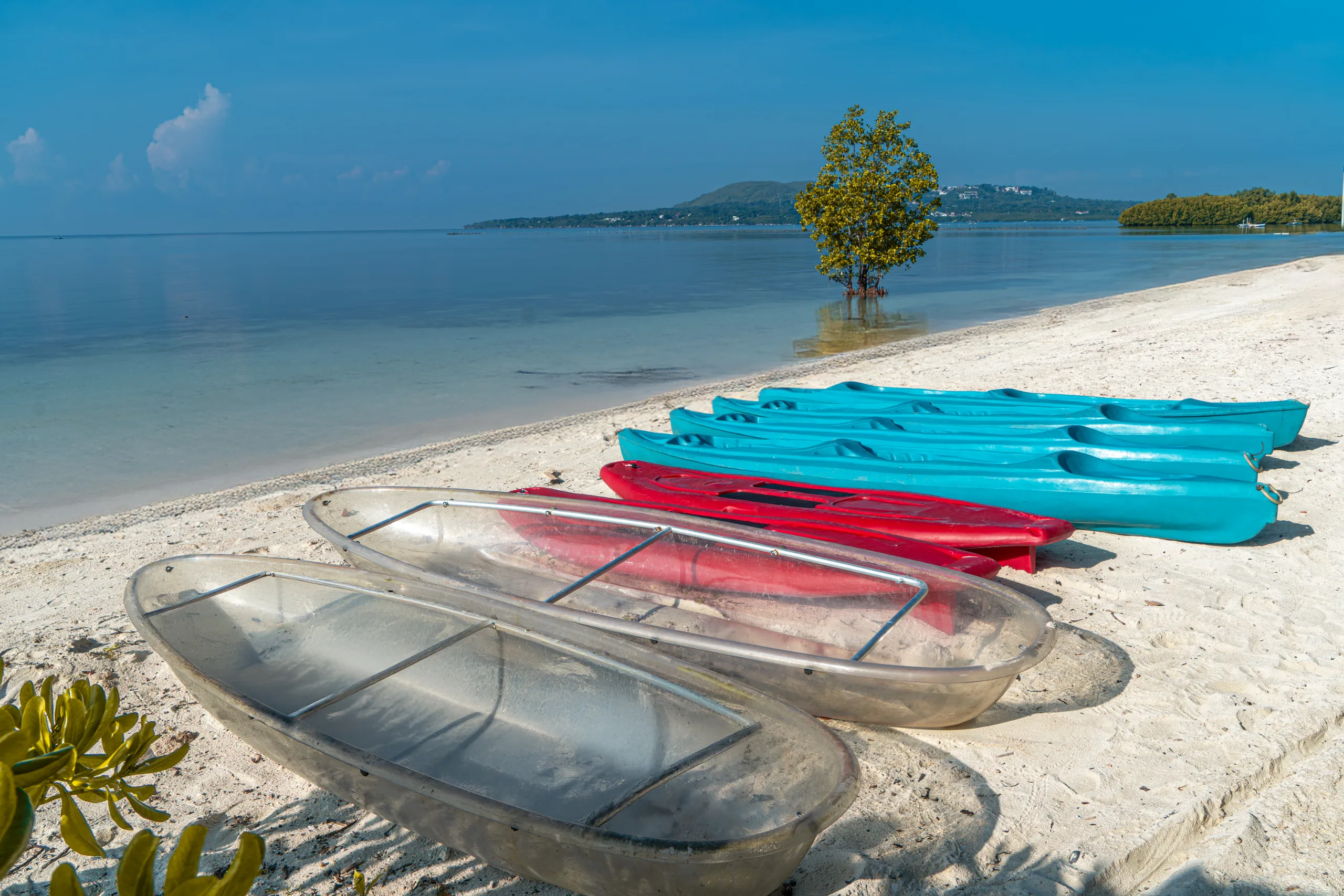 Explore Bohol